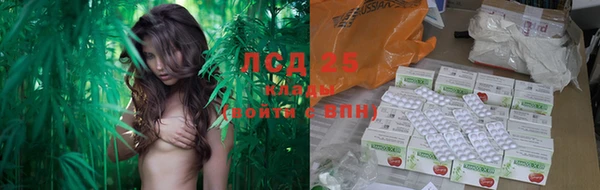 кокаин колумбия Богданович