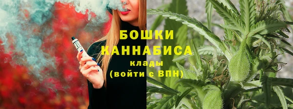 ALPHA PVP Богородицк