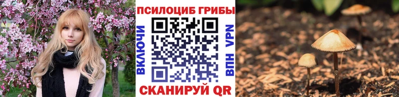 Галлюциногенные грибы Cubensis Киселёвск