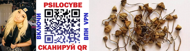 darknet формула  наркошоп  Киселёвск  Псилоцибиновые грибы Psilocybe 